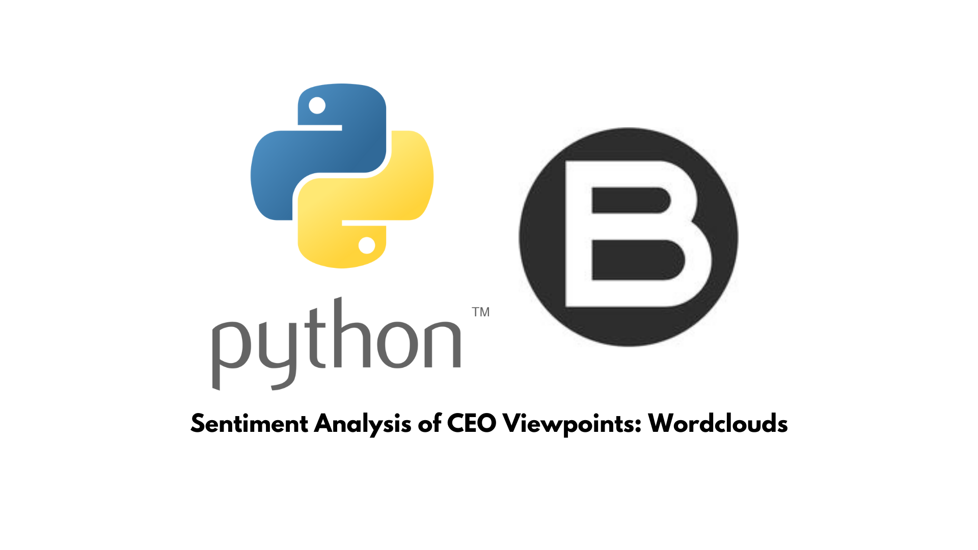 Sentiment Analysis CEO Viewpoints